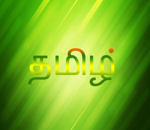 நாட்டை ஒன்றுபடுத்த ஹிந்தி அவசியம் என்று சொல்வது அரசியல் கட்டுக்கதை - அண்ணாதுரை