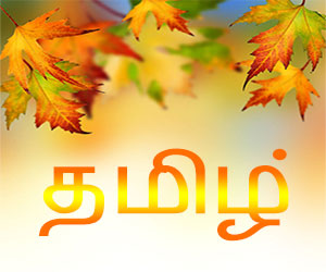 படம்