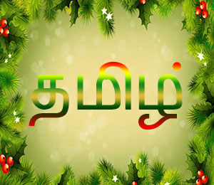 நாட்டை ஒன்றுபடுத்த ஹிந்தி அவசியம் என்று சொல்வது அரசியல் கட்டுக்கதை - அண்ணாதுரை